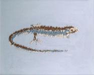 lucertolone, (2006) cm 55x45