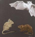 guarda ... un angelo, (2009)