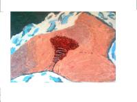 infibulazione gennaio 2011